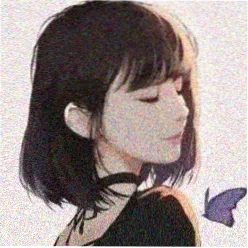 用户晚风头像